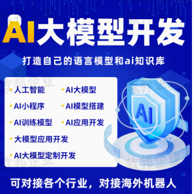 发定制技术人工智能基础软件行业