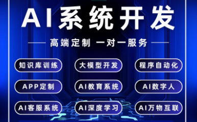 AI人工智能系统应用开发定制ai网站app小程序软件